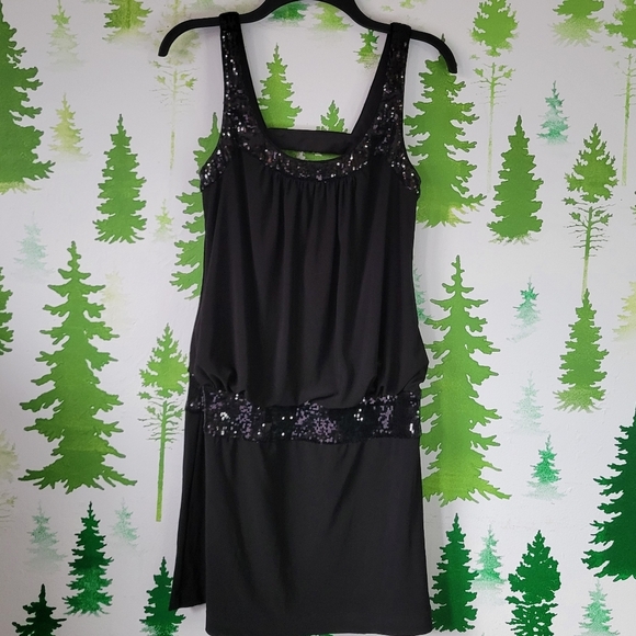 Adrianna Papell Dresses & Skirts - Adrianna Papell Boutique Black Sleeveless Sequin Dress